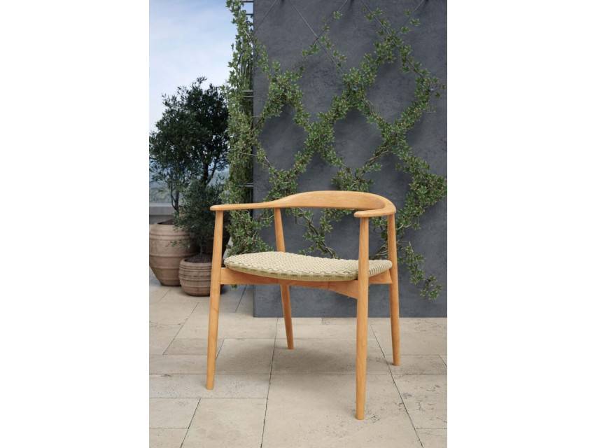 Dana Dining Arm Chair - Image 5