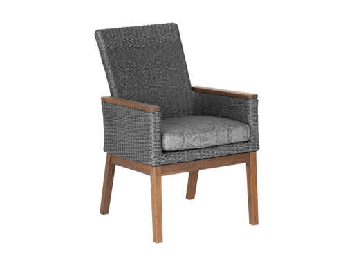 Coral Arm Chair - Image 1